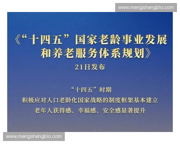 构建以体育装备供应体系为核心的高效物流与服务网络发展研究