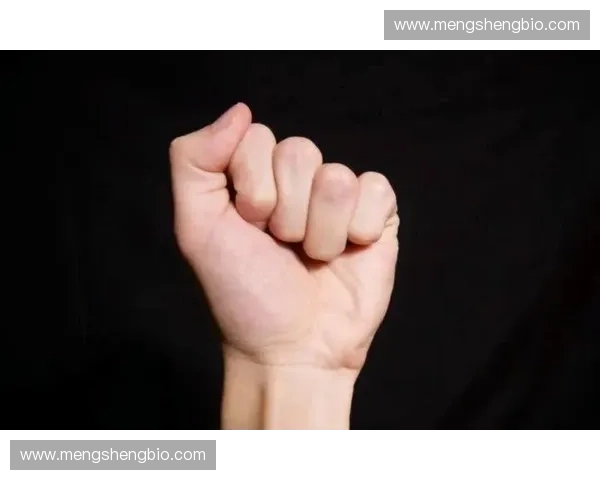 运动心理辅导视角下提升竞技表现与心理韧性的综合路径研究探索应用