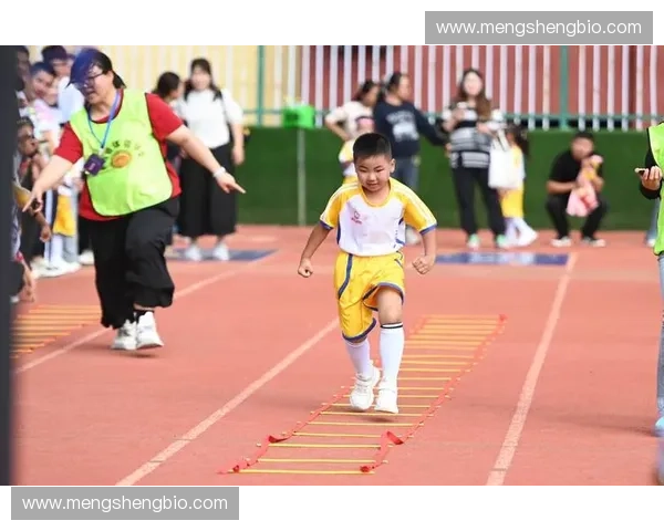 体育文化研究院视角下的竞技精神传承与社会影响探究